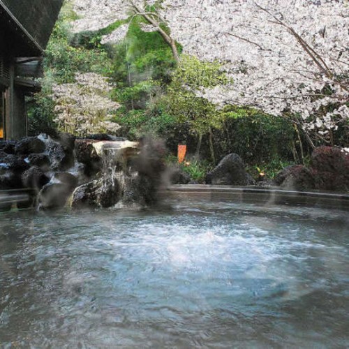 桜吹雪舞い散る露天風呂の外湯