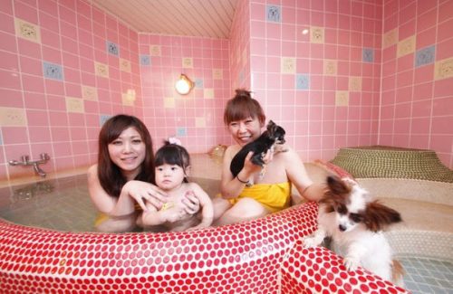 ペットと入れる家族風呂
